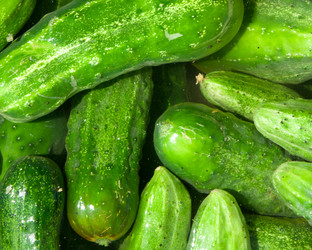 Similar image 2363209