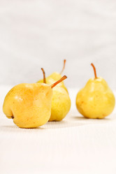 Similar image 2363220