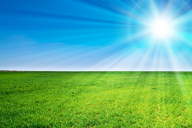 Similar image 2363239