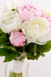 Similar image 2363300