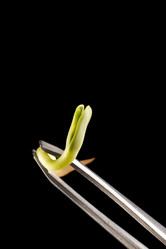 Similar image 2363301