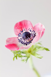 Similar image 2363307