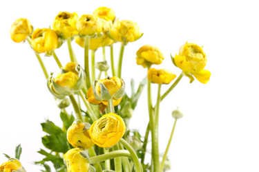 Similar image 2363312