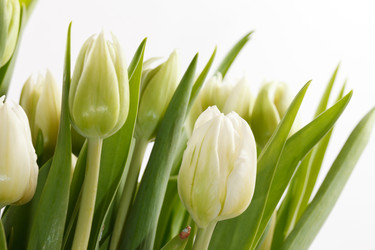 Similar image 2363323