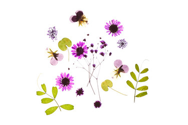 Similar image 2363364