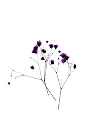 Similar image 2363365