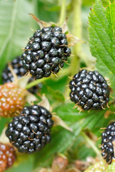 Similar image 2363367