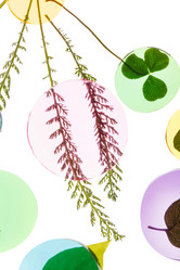 Similar image 2363413