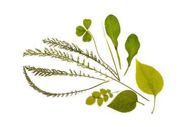 Similar image 2363414