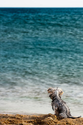 Similar image 2363590