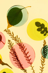 Similar image 2363682