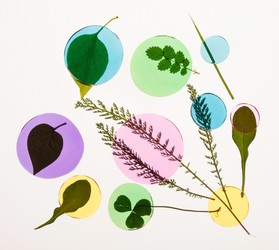 Similar image 2363684