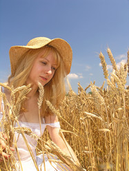 Similar image 2363760