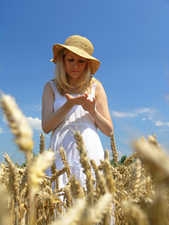 Similar image 2363777