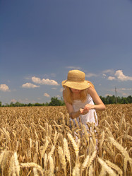 Similar image 2363785