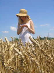 Similar image 2363787