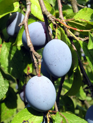 Similar image 2363857