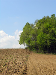 Similar image 2363874