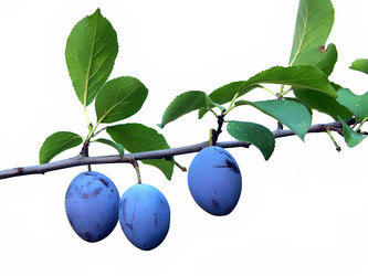 Similar image 2363914