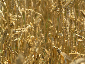 Similar image 2364098