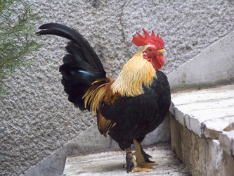 Similar image 2364206