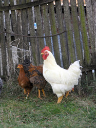 Similar image 2364231