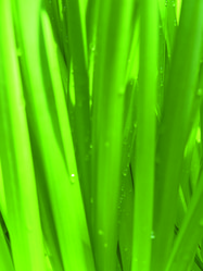 Similar image 2364271