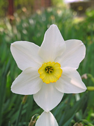 Similar image 2364278