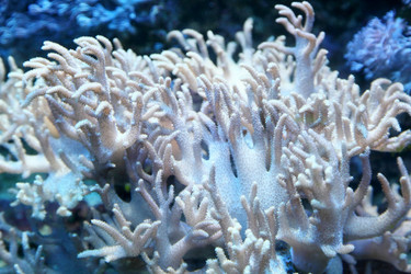 Similar image 2364863