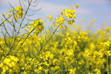 Similar image 2364874