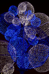 Similar image 2365074