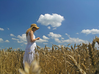 Similar image 2365092