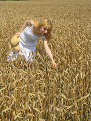 Similar image 2365140