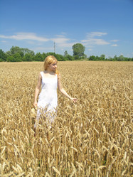 Similar image 2365142