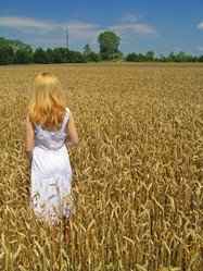 Similar image 2365172