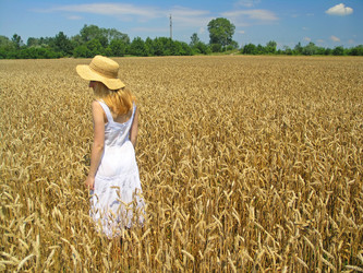 Similar image 2365174