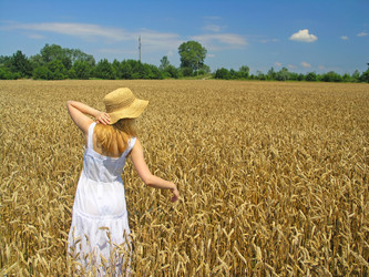 Similar image 2365177