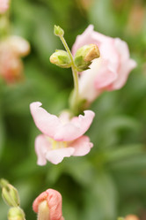 Similar image 2365178