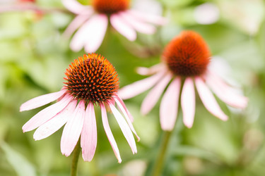 Similar image 2365180