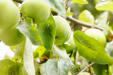 Similar image 2365183