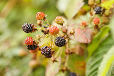 Similar image 2365184