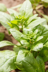 Similar image 2365187