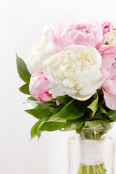 Similar image 2365205