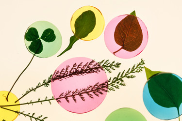 Similar image 2365215