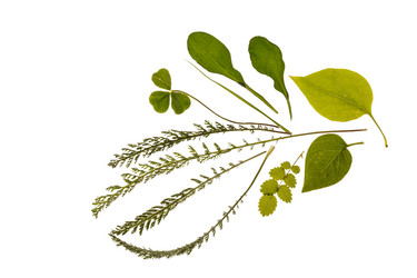 Similar image 2365217