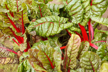 Similar image 2365261