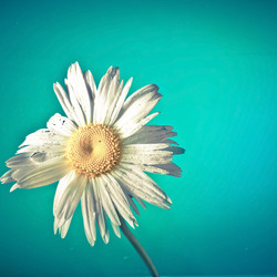 Similar image 2365303