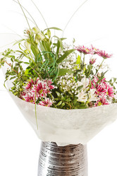 Similar image 2366047