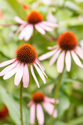 Similar image 2366055