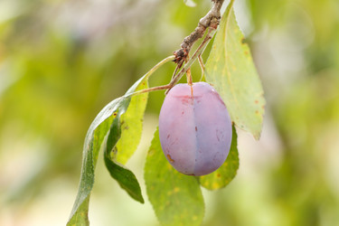 Similar image 2366056